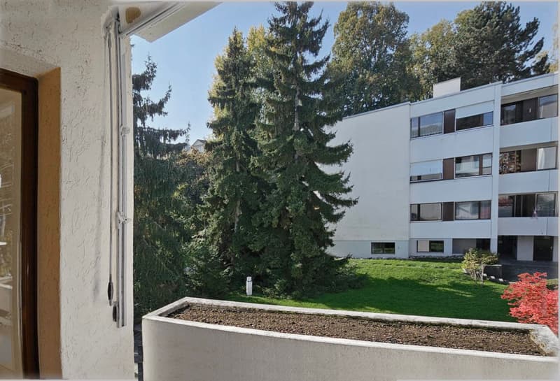 Spacious view in Bottmingen, 3 1/2 rooms (9)