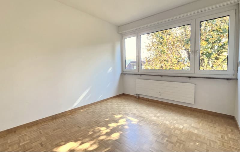 Spacious view in Bottmingen, 3 1/2 rooms (7)