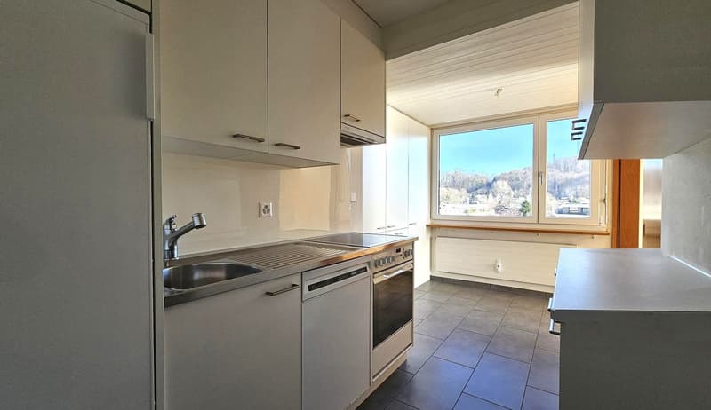 Spacious view in Bottmingen, 3 1/2 rooms (4)