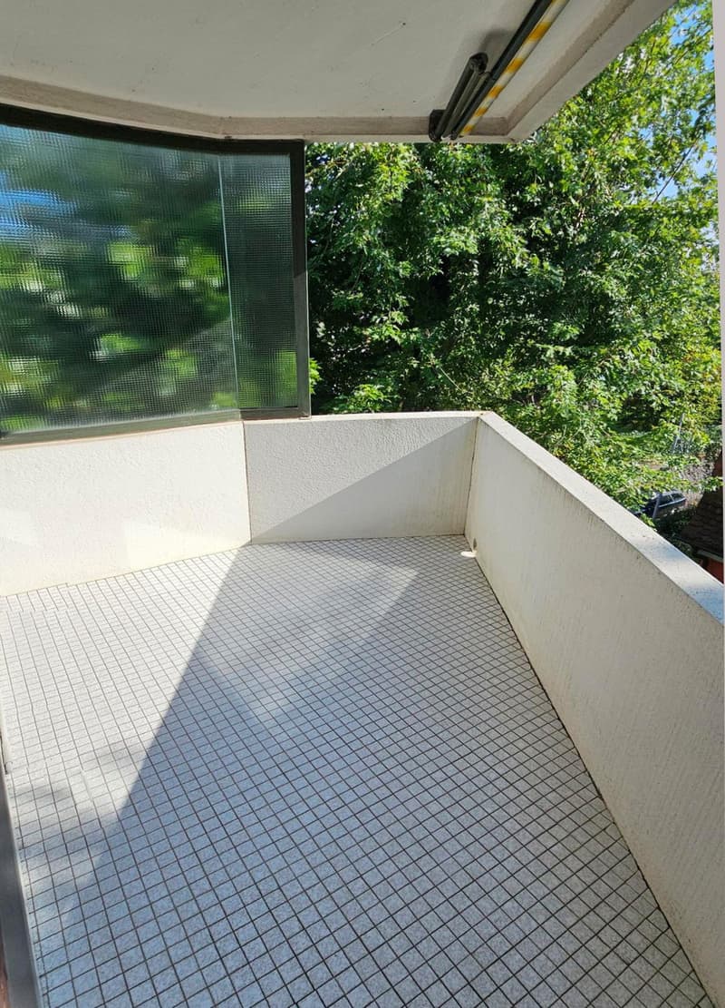 Spacious view in Bottmingen, 3 1/2 rooms (3)