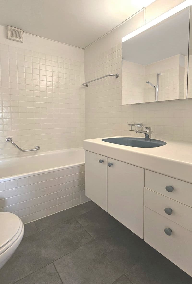 Spacious view in Bottmingen, 3 1/2 rooms (11)