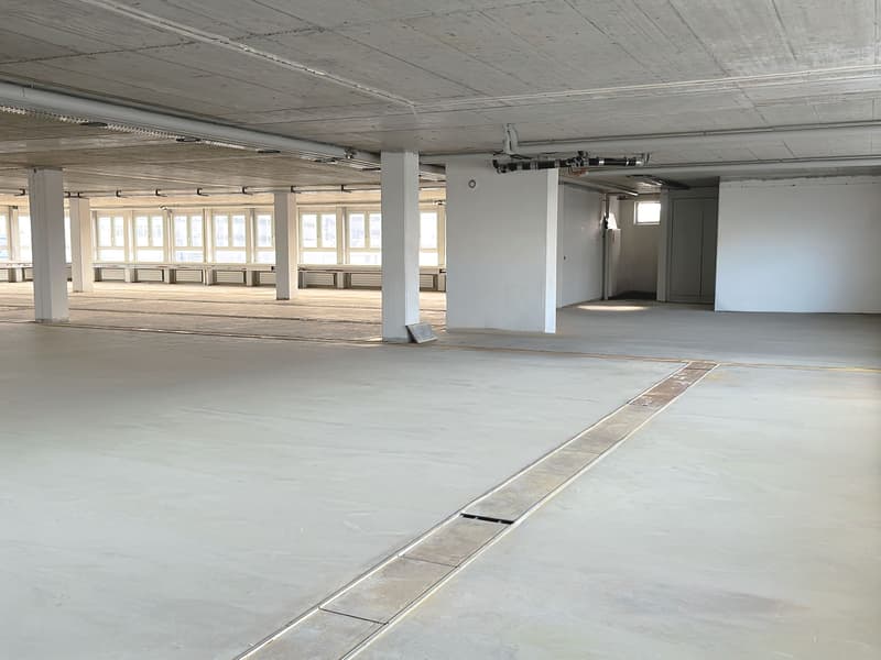Flexible Bürofläche an zentraler Lage (6)