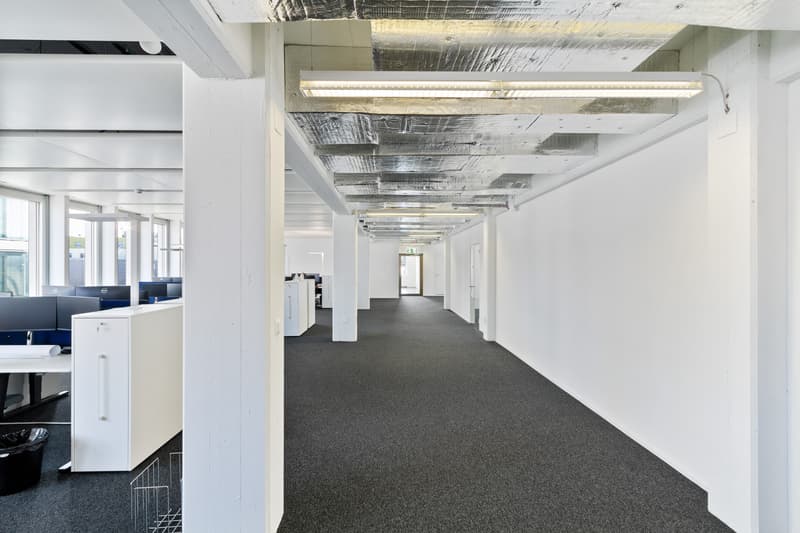 805 m² pour des idées avec avenir (3)