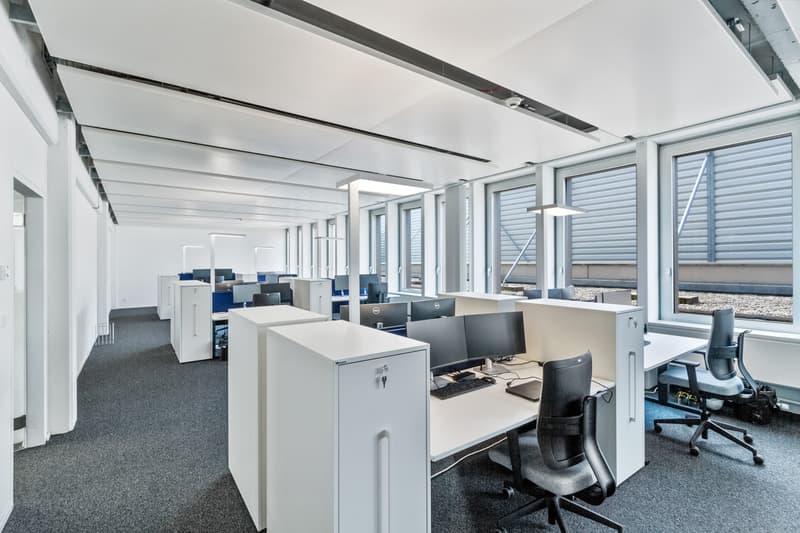 805 m² pour des idées avec avenir (2)