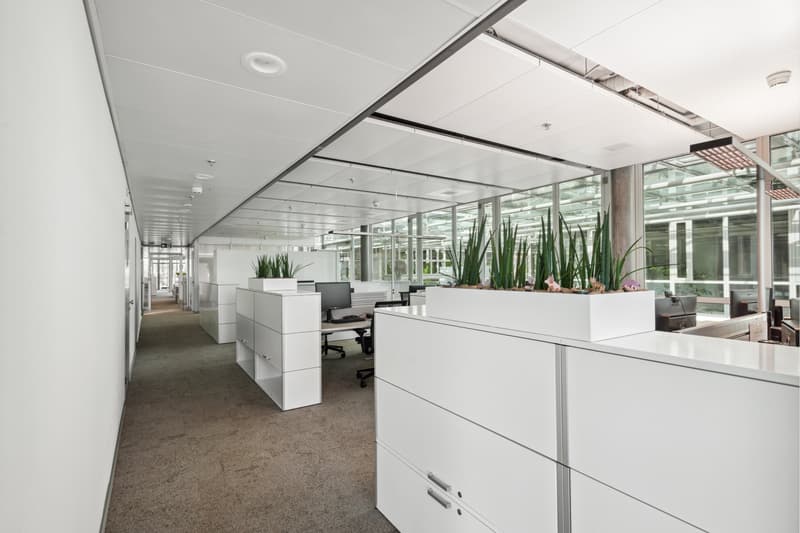 Moderne Bürofläche nahe Flughafen Zürich (4)