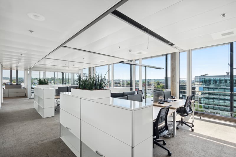 Moderne Bürofläche nahe Flughafen Zürich (5)