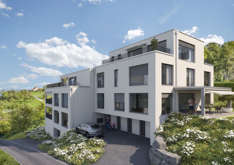 Attraktive 5 1/2 Zimmer-Dach-Maisonette-Neubau-Wohnung mit einmaliger Sicht auf den Bodensee (2)