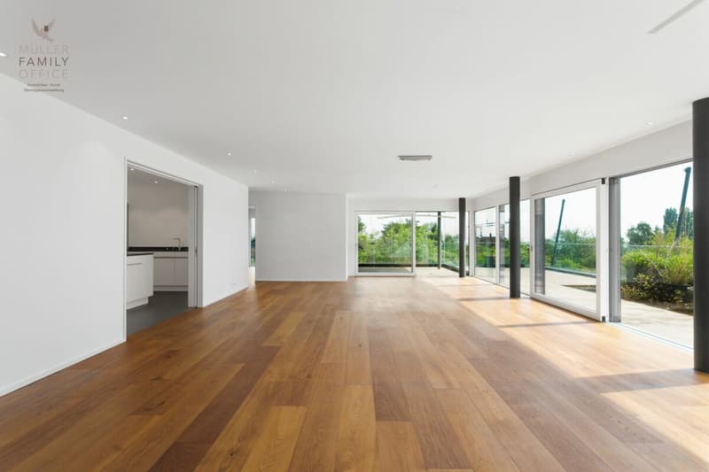 Appartement terrasse de 5 1/2 pièces lumineux dans une résidence très bien entretenue et calme (10)