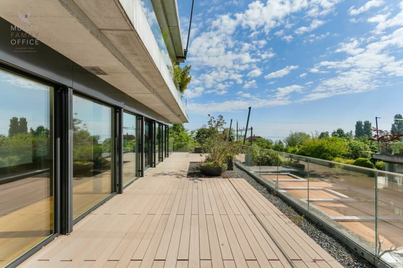 Appartement terrasse de 5 1/2 pièces lumineux dans une résidence très bien entretenue et calme (4)