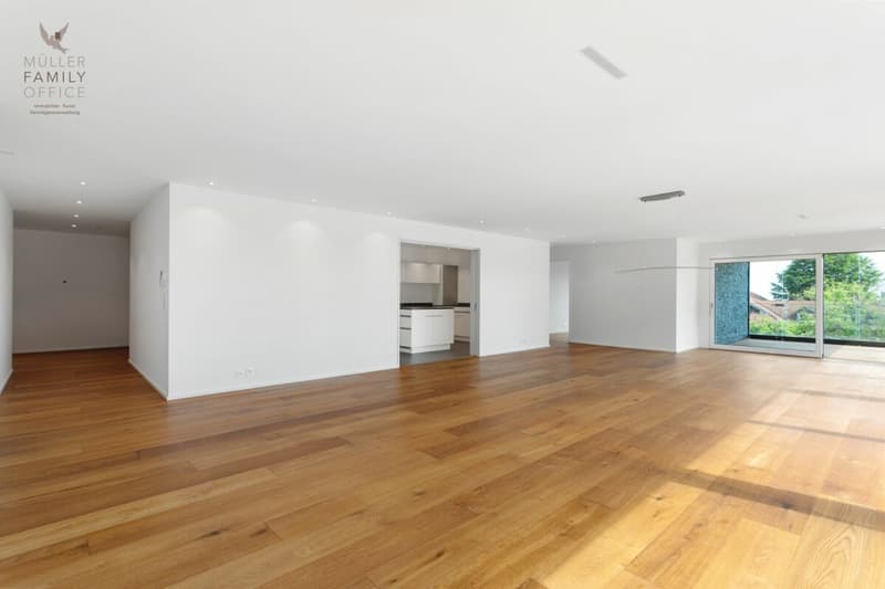 Appartement terrasse de 5 1/2 pièces lumineux dans une résidence très bien entretenue et calme (13)