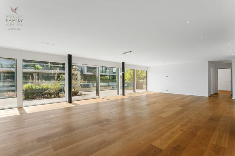 Appartement terrasse de 5 1/2 pièces lumineux dans une résidence très bien entretenue et calme (12)