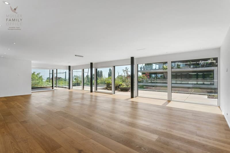 Appartement terrasse de 5 1/2 pièces lumineux dans une résidence très bien entretenue et calme (11)