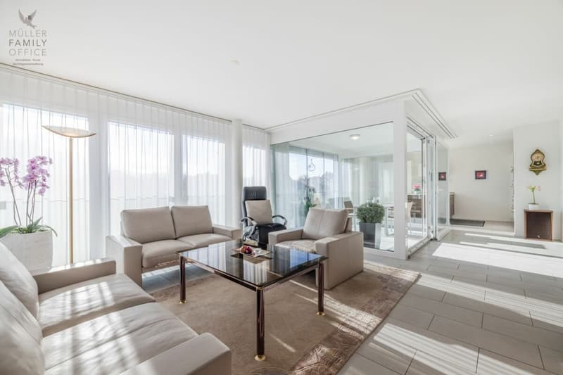Beautiful and very well-maintained 4 1/2 room apartment in the "Alti Moschti" development (3)