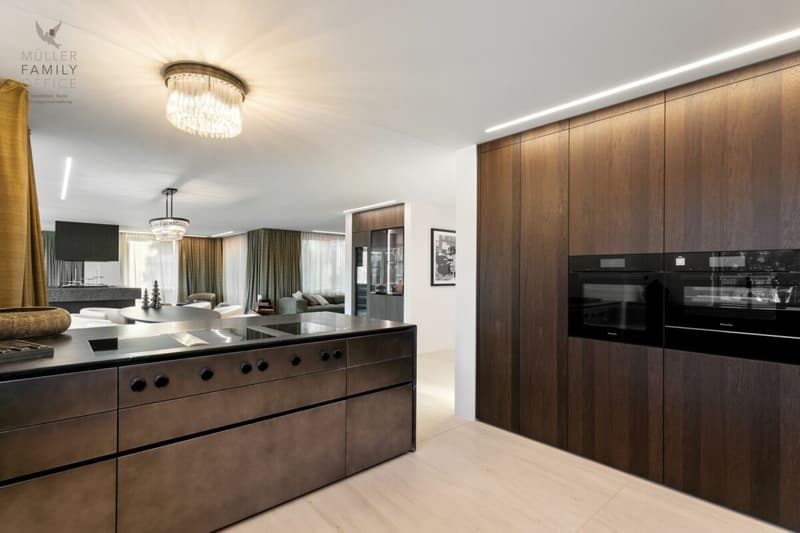 Das Rosenberg Penthouse - ein architektonisches Luxus-Unikat über den Dächern von St. Gallen (10)