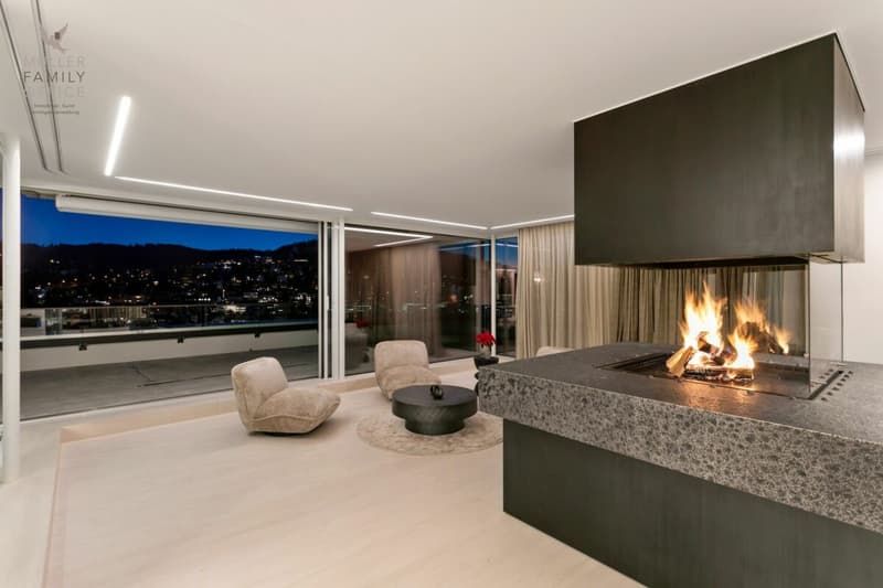 Das Rosenberg Penthouse - ein architektonisches Luxus-Unikat über den Dächern von St. Gallen (5)