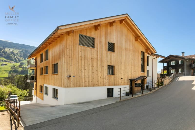 Appartement attique exclusif de 3,5 pièces (première occupation) avec un confort de vie au niveau le plus élevé et une vue à couper le souffle (5)
