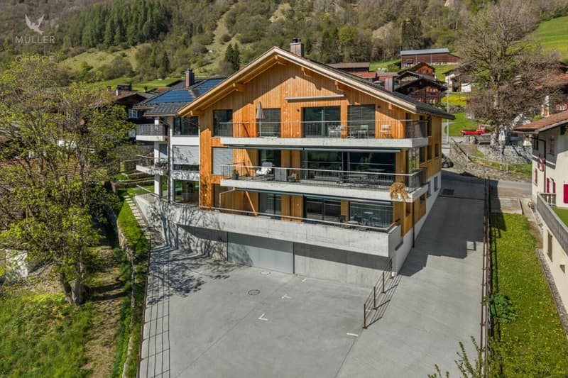 Appartement attique exclusif de 3,5 pièces (première occupation) avec un confort de vie au niveau le plus élevé et une vue à couper le souffle (2)