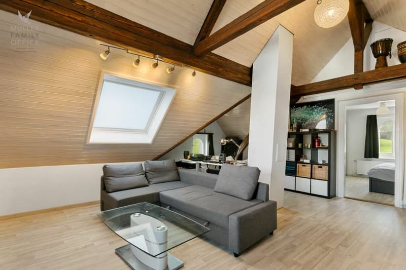 Aussergewöhnliches Einfamilienhaus (ehemaliges Kirchlein) an ruhiger Lage mit viel Entwicklungspotenzial (Mehrgenerationenhaus möglich) (12)