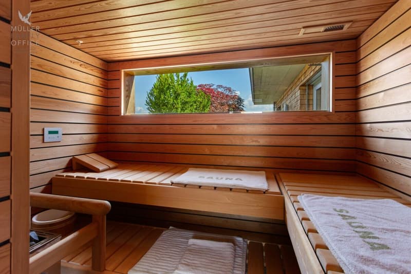 Exklusive 5 1/2 Zimmer-Maisonette-Attikawohnung mit Alpsteinblick und Aussenpool im Miteigentum (13)