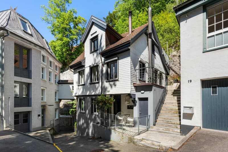 Urbanes Einfamilienhaus mit Atelier nahe Altstadt und Mülenenschlucht (2)