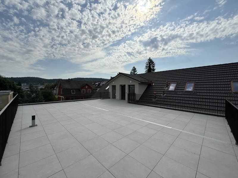 TRAUMHAFTE DACHWOHNUNG MIT GROSSER TERRASSE (11)