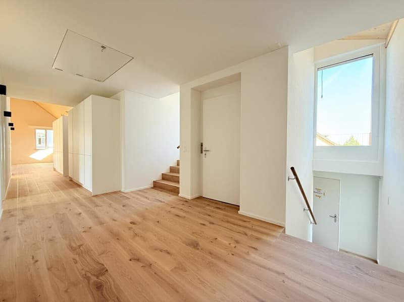TRAUMHAFTE DACHWOHNUNG MIT GROSSER TERRASSE (8)