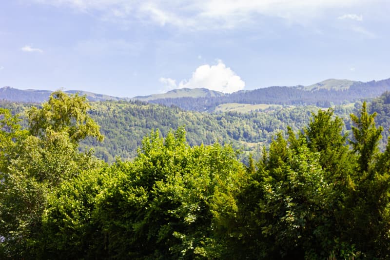 A plot of land amidst the mountains (14)