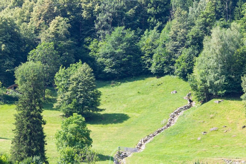 A plot of land amidst the mountains (6)