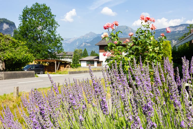 A plot of land amidst the mountains (5)