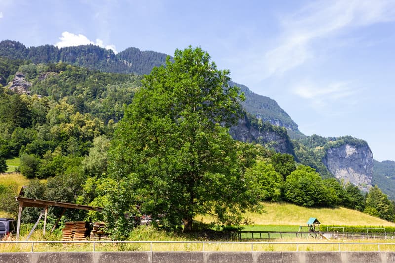 A plot of land amidst the mountains (10)