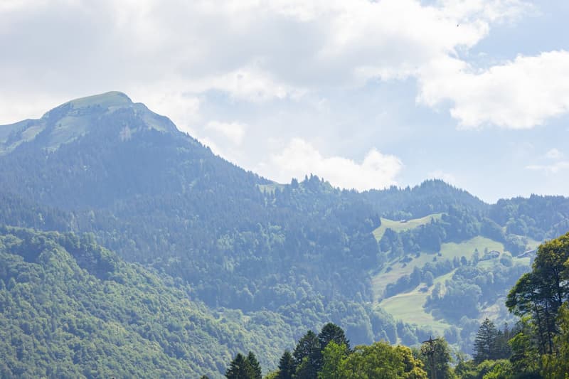 A plot of land amidst the mountains (13)