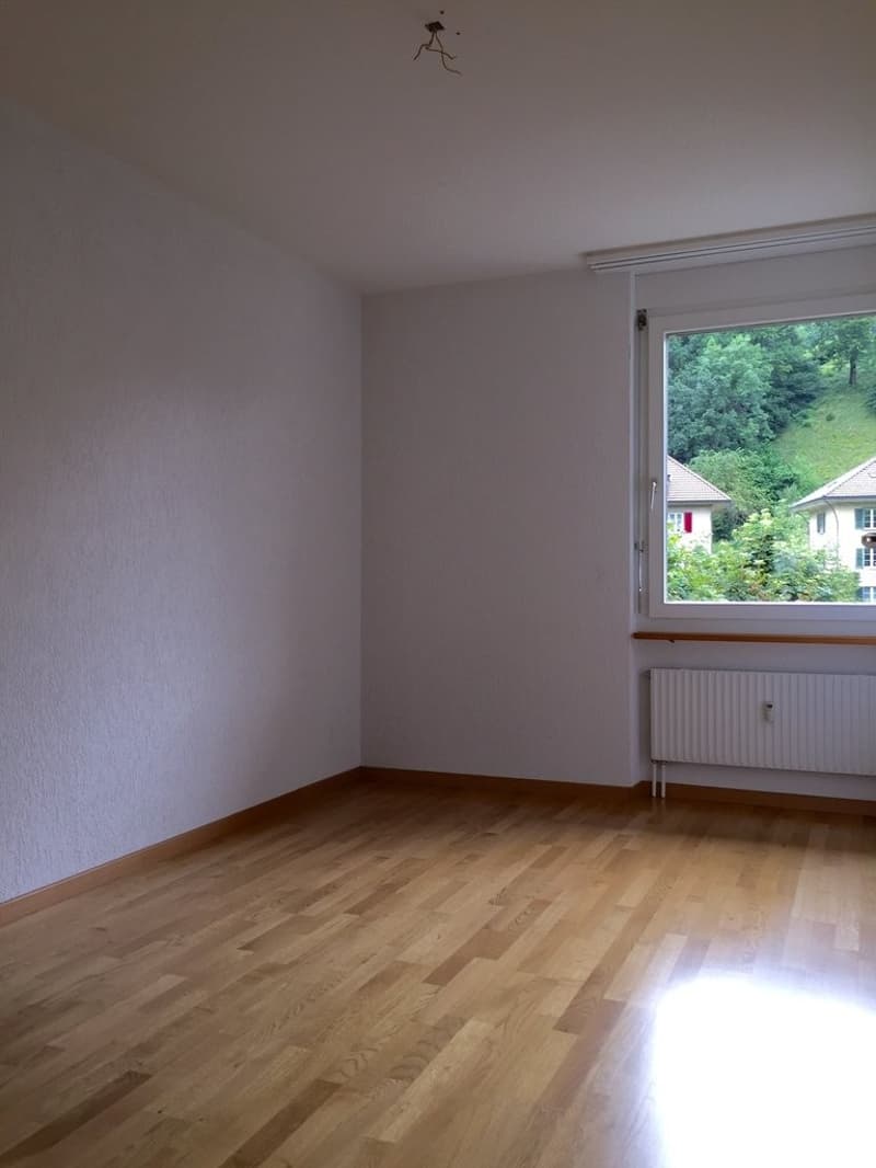 SZ.jpg