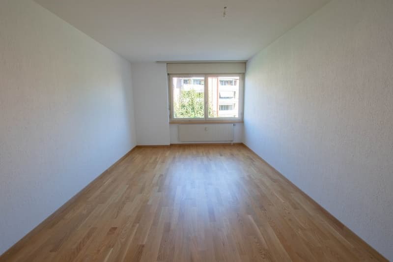 Appartement temporaire à Thun (4)