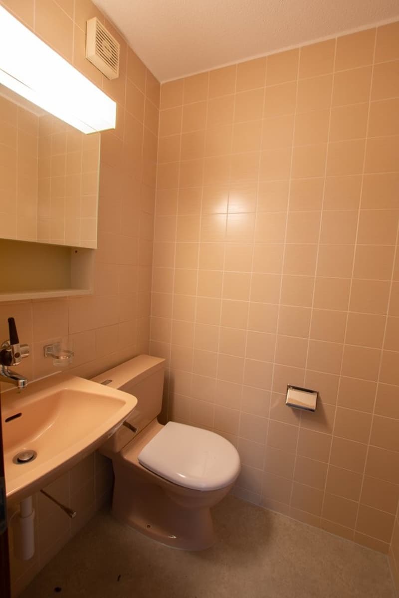 Appartement temporaire à Thun (8)