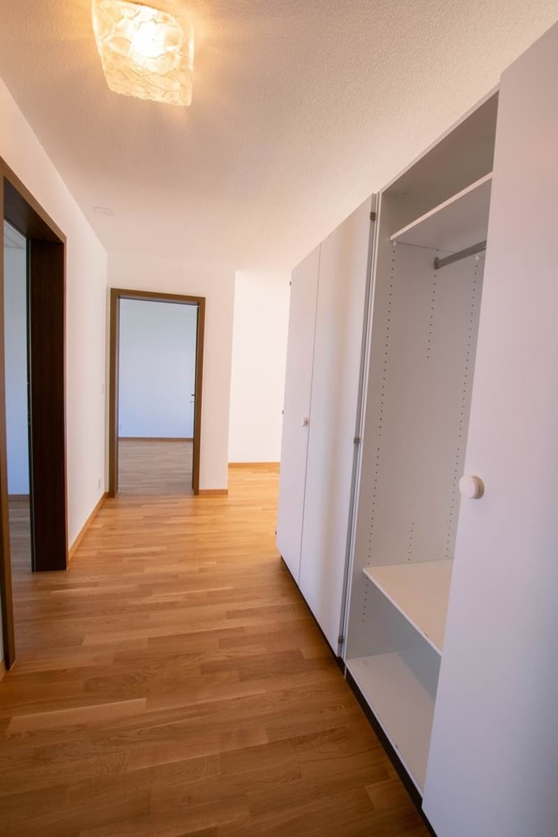 Appartement temporaire à Thun (5)
