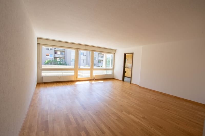 Appartement temporaire à Thun (2)