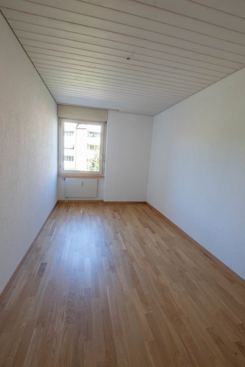Appartement temporaire à Thun (3)