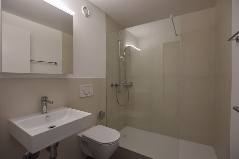 4.5-room apartment ideal for families (8)