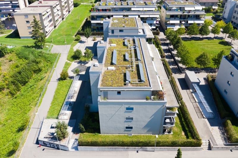 Liegenschaft