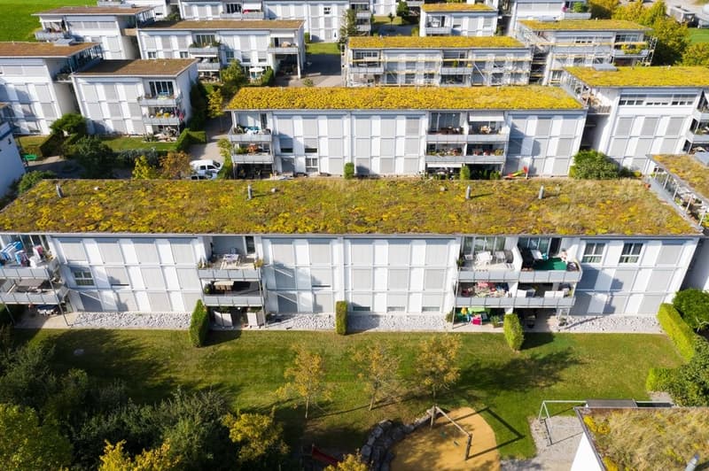DJI_0359_bearb.jpg