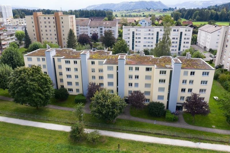 DJI_0673_bearb.jpg