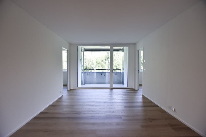 Erstbezug - 4.5-Zimmerwohnung (5)