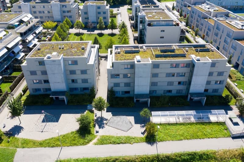 DJI_0551_bearb.jpg