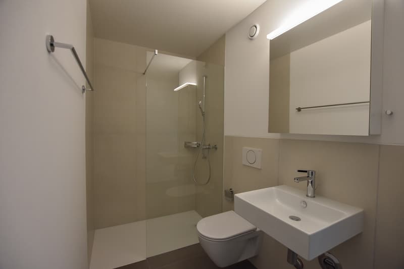 Erstbezug - 4.5-Zimmerwohnung (12)