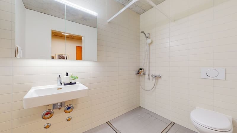 3-Zimmer-Wohnung-in-Bern-DuscheWC.jpg