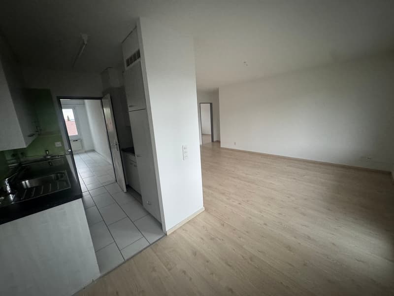Cozy 4.5 room apartment (2)