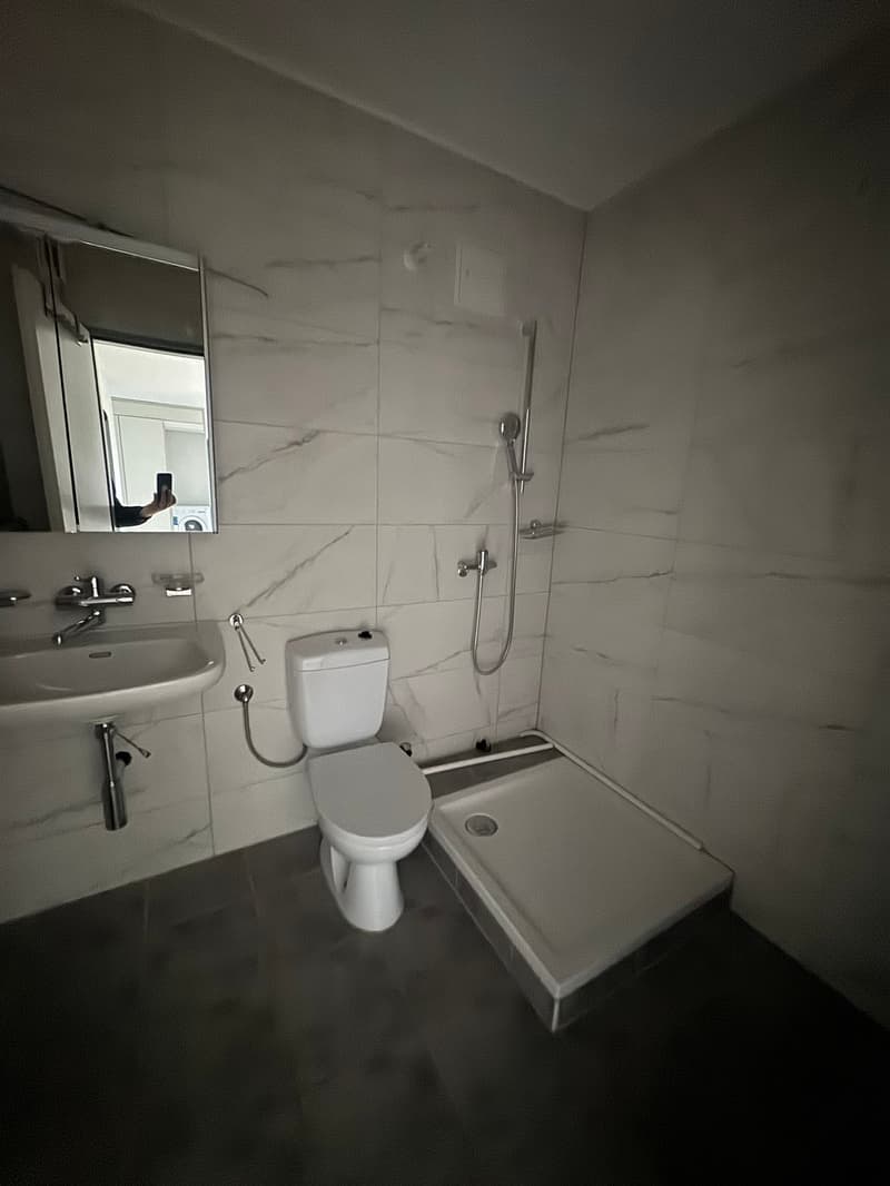 Cozy 4.5 room apartment (5)