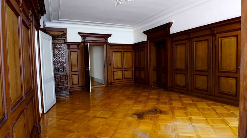 Rental space with charm, in the middle of Schaffhausen's old town, 1 minute walking distance to the train station (6)