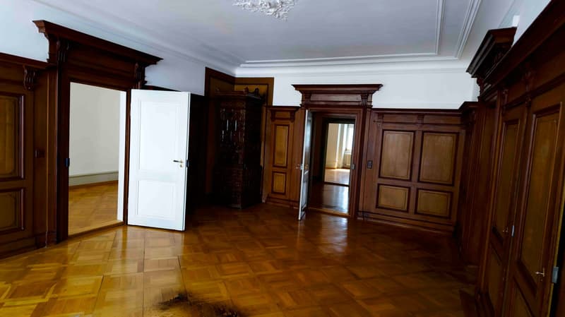 Rental space with charm, in the middle of Schaffhausen's old town, 1 minute walking distance to the train station (8)