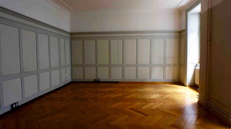 Rental space with charm, in the middle of Schaffhausen's old town, 1 minute walking distance to the train station (5)